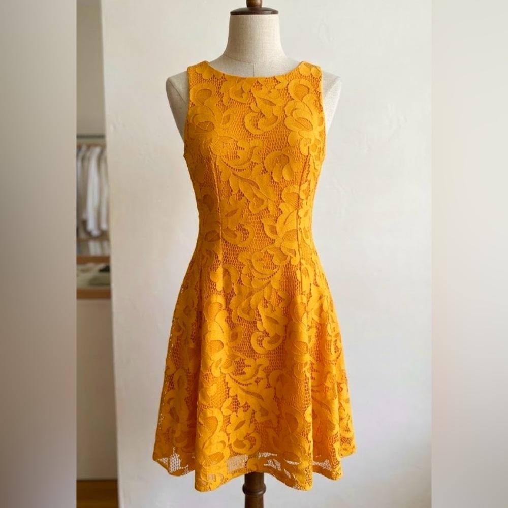 Eva Mendes for New York & Company Mustard Lace Midi Dress